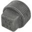 1" Black Regular Cored Plug, Class 150
