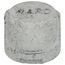 1/2" Galv Cap, Class 150