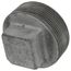 2" Galv Regular Cored Plug, Class 150