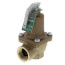 3/4" 474A Pressure Relief Valve (125 psi)