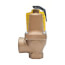 2" x 2-1/2" Boiler Pressure Relief Valve (60 psi)