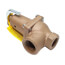 2" x 2-1/2" Boiler Pressure Relief Valve (60 psi)