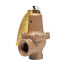2" x 2-1/2" Boiler Pressure Relief Valve (60 psi)
