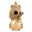 1-1/4" 909M1 QT Bronze RPZ Assembly
