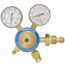 245-02P Nitrogen Purge Regulator (0-250 PSI)