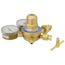 245-02P Nitrogen Purge Regulator (0-250 PSI)