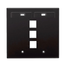 Dual-Gang Quickport, Wallplate w/ ID Windows, 3-port (Black)