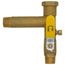 Single Shutoff Expansion Tank Valve