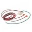 Wiring Harness, 45-24258-30