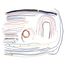 Wiring Harness, 455208