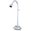 1/2" FNPT  Rough Chrome Two Handle Utility Shower, 22-1/2" Riser