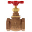 1" FNPT Globe Valve (Bronze)