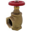 2" FNPT Globe Valve (Cast Brass)