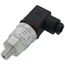 AKS 33 Pressure Transmitter (-14.50 to 174 PSI)