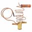 Expansion Valve (TXV), 61-100141-13