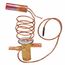 Expansion Valve (TXV), 61-100141-19
