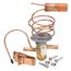 Expansion Valve (TXV), 61-106238-39