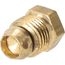 Plug - Brass Hex Head, 62-23498-02