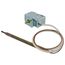 Unit Mounted Manual C/O Thermostat, 065829901