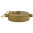 2-1/2" NST Cap With Chain (Rough Brass)