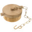 2-1/2" NST Plug With Chain (Rough Brass)