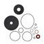 Rubber Repair Kit for Watts 2" 009 (RK-009M2-RT)