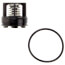 2nd Check Repair Kit for Watts 3/4" 007 (RK-007M3-CK2)