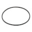 2" RK-777SI Gasket