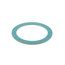 Union Gasket for F76S 1" Valve Connection (Pack of 10)