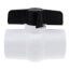 2" IPS x FPT SCH 40 PVC Molded-in-Place Ball Valve