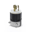 15A, 250V NEMA L6-15P, 2P, 3W, Locking Plug, Grounding (Black/White)