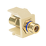 RCA Feedthrough Quickport, Connector, Gold-plated (Blue) Stripe (Ivory) Housing