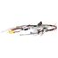 120V Cord Assembly, RTG20239AD
