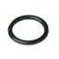 O-Ring P-12, RTG20000H