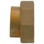 1" FNPT Tailpiece Kit