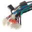 Harness, Main, Cc 120-250, 100055085