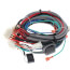 Harness, Main, Cc 120-250, 100055085