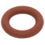 O-Ring FKM, 100076305