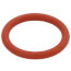 O-Ring P15 FKM, 100076307