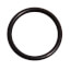 O-ring P16 (FKM)