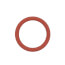 O-ring P16 (FKM), 100076308