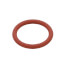 O-ring P16 (FKM), 100076308