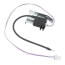 Igniter Assembly, 100076342