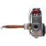 Natural Gas Control Valve, 100093794