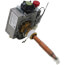 Natural Gas Control Valve, 100093794