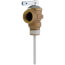 0.62" Residential Orientation T & P Relief Valve Only, Model TP-100, 100108279