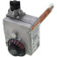 Gas Thermostat, Natural Gas - Through 55,000 BTU's (Boxed), 100108348