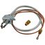 Pilot Assembly, 100109680