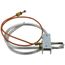 Pilot Assembly, 100109680