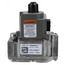 Natural Gas Valve Kit, 100109960